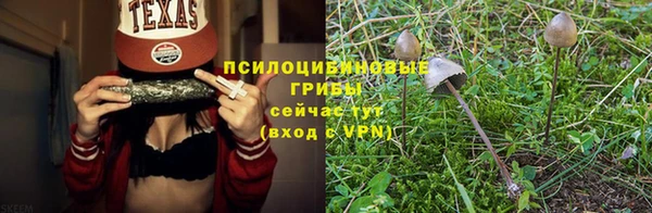 ешки Мегион